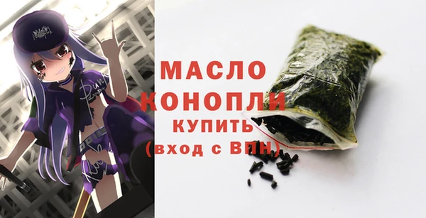 дмт Осташков