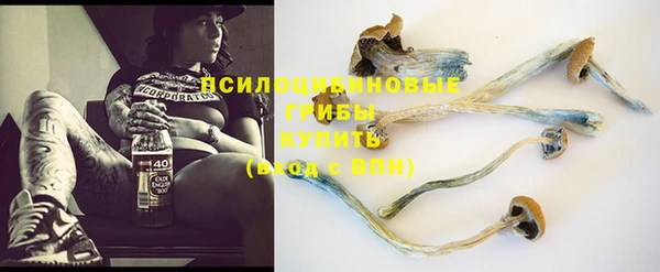 кокс Няндома