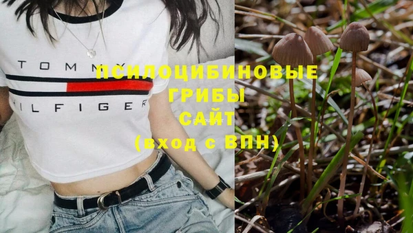 мдпв Нягань