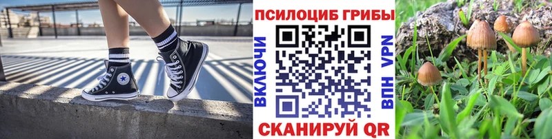 Псилоцибиновые грибы мухоморы  Купить где  Колпашево 